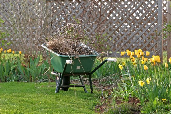 Flower Bed Cleanup Service in Yonkers