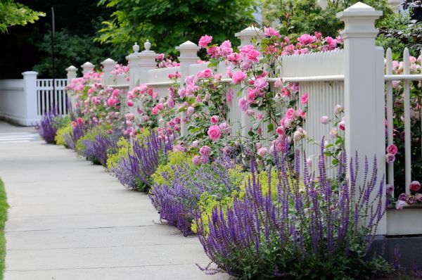 Garden Handyman Service in Yonkers