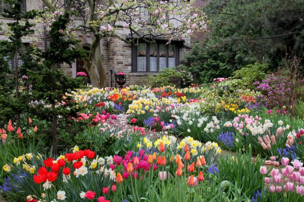 Garden Maintenance Service in Yonkers