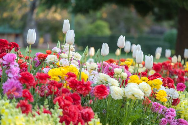 Gardening Service in Yonkers