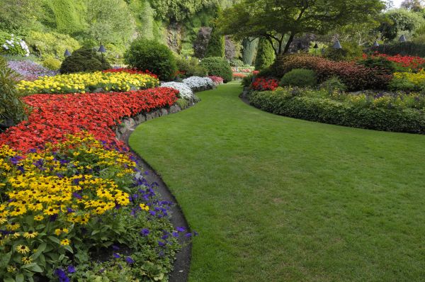 Landscaping Maintenance in Yonkers