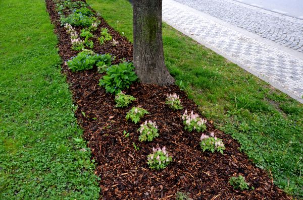 Mulch Replacement Service in Yonkers