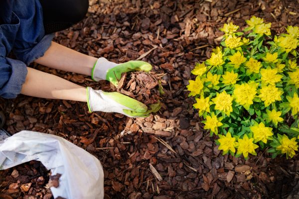 Pine Bark Delivery in Yonkers