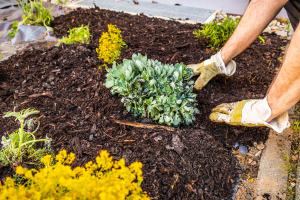 Weeding And Mulching in Yonkers