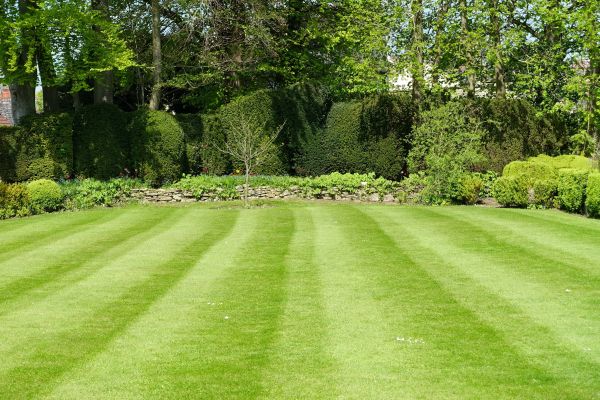 Lawn Renovation in Yonkers