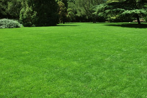 Lawn Landscaping in Yonkers
