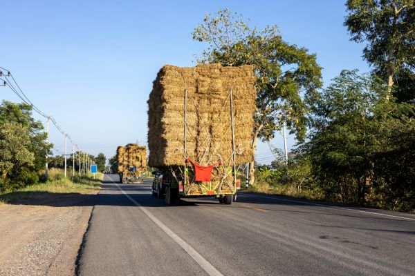 Pine Straw Delivery in Yonkers