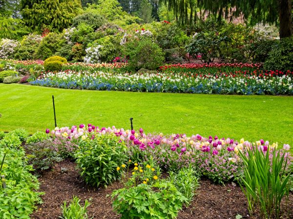 Residential Landscape Design in Yonkers