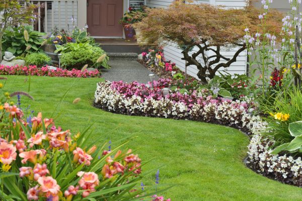 Perennial Landscaping in Yonkers