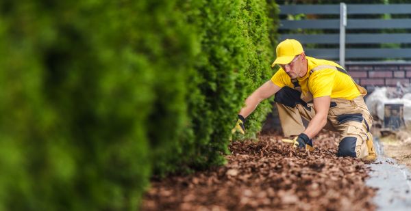 Cypress Mulch Installation in Yonkers
