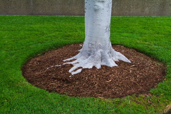 Brown Mulch Installation in Yonkers