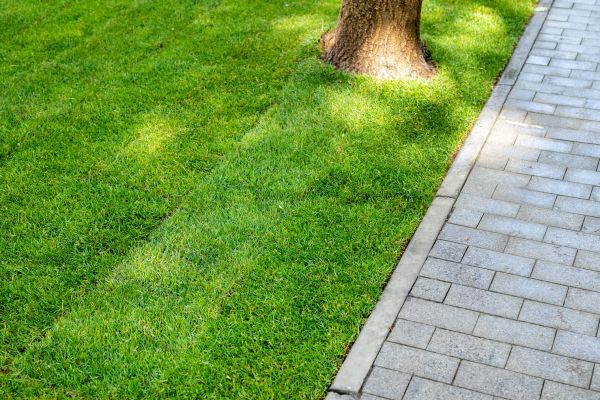 Border Stone Installation in Yonkers