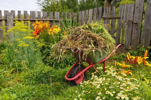 Garden Cleanup Service in Yonkers