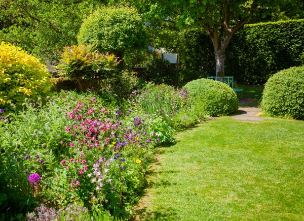 Yard Landscaping Service in Yonkers