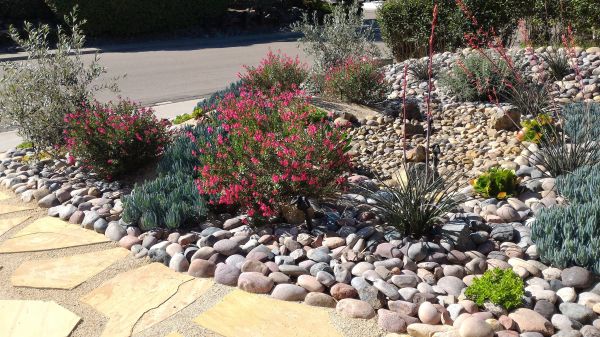 Xeriscape Landscaping in Yonkers