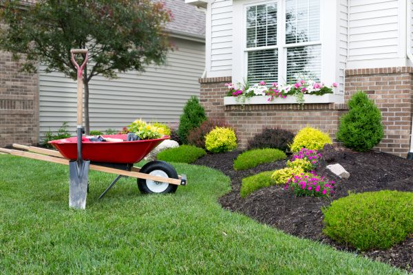 Tree And Shrub Planting in Yonkers