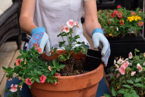 Plant Care Service in Yonkers