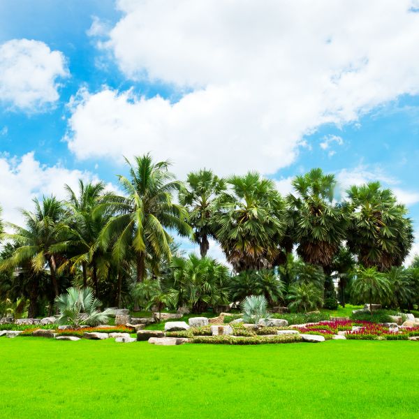 Tropical Landscaping in Yonkers
