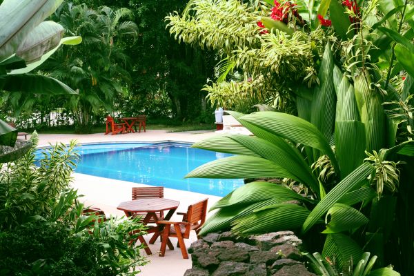 Tropical Garden Landscaping in Yonkers