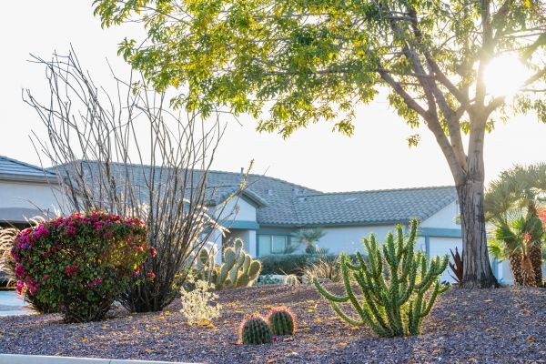 Dryscape Landscaping in Yonkers