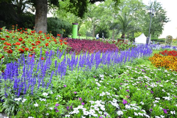 Perennials Planting in Yonkers