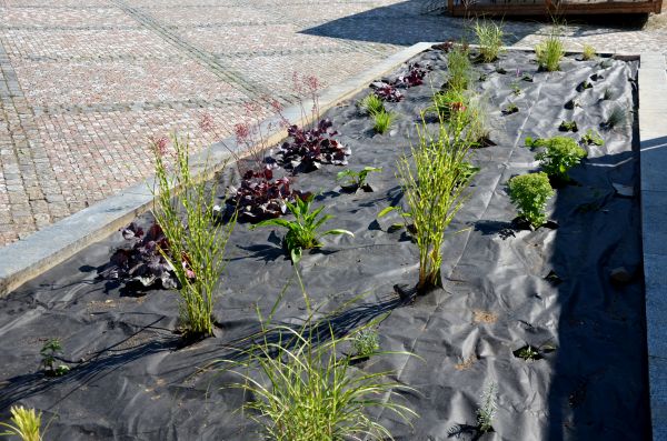 Landscape Fabric Installation in Yonkers