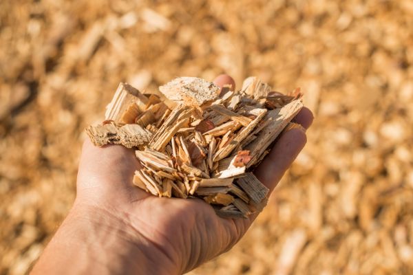 Wood Chips Spreading in Yonkers