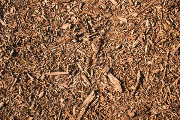 Wood Chips Removal in Yonkers