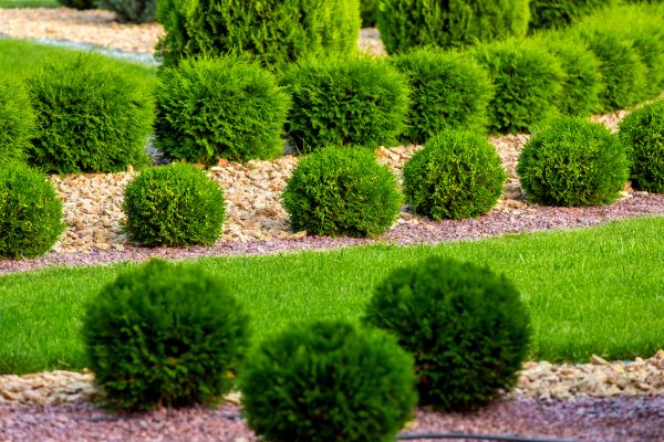 Bush Replacement in Yonkers