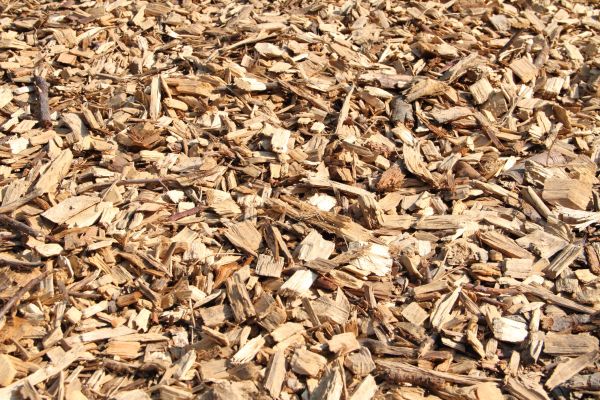 Wood Mulch Delivery in Yonkers