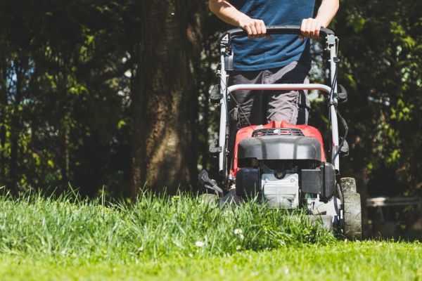 Garden Trimming Service in Yonkers