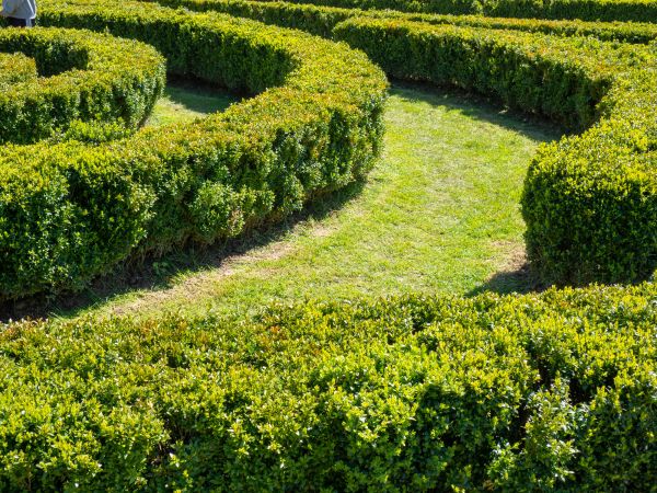 Bush Landscaping in Yonkers