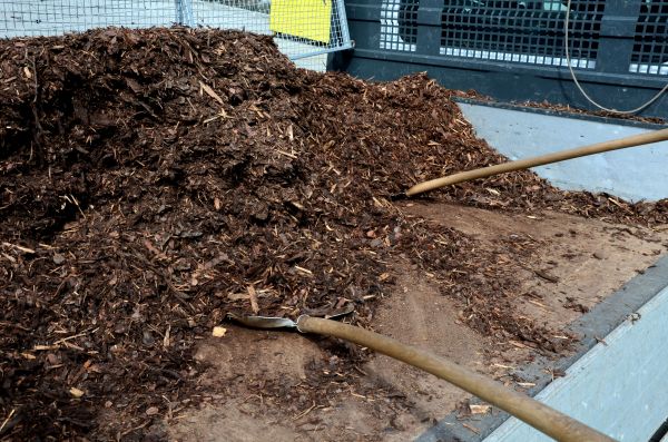 Cedar Bark Delivery in Yonkers
