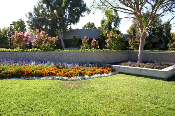 Commercial Landscape Service in Yonkers