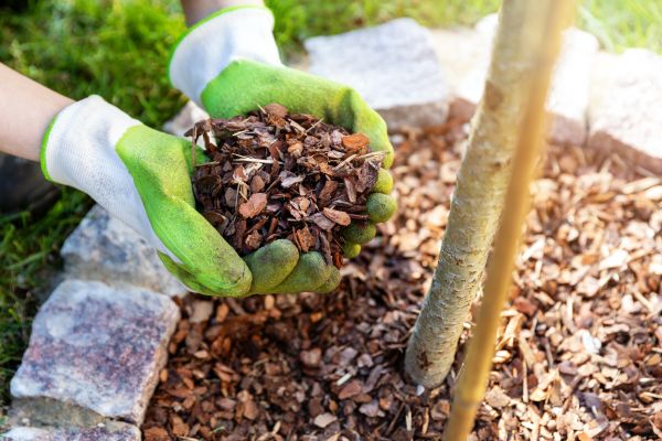 Tree Bark Delivery in Yonkers