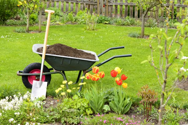 Spring Yard Renovation in Yonkers