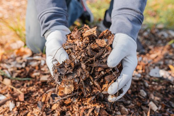 Shredded Mulch Installation in Yonkers