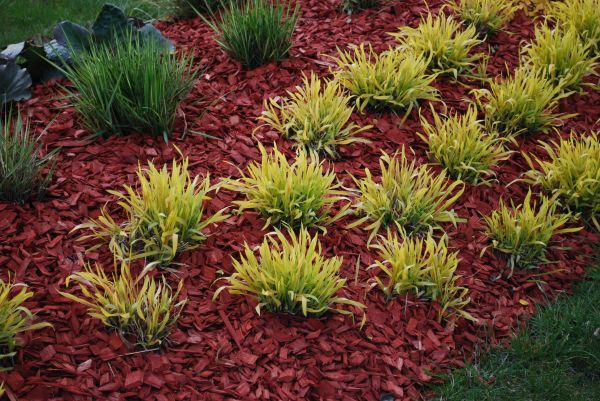 Red Mulch Installation in Yonkers