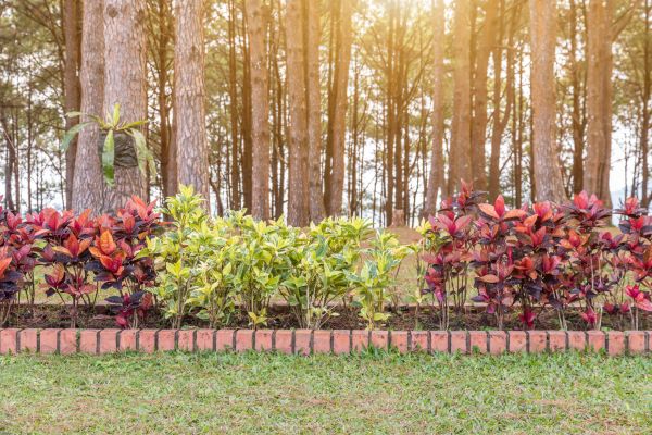 Small Garden Landscaping in Yonkers