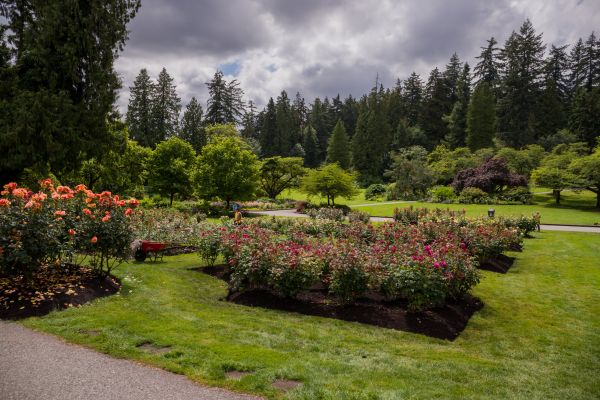 Flower Garden Landscaping in Yonkers