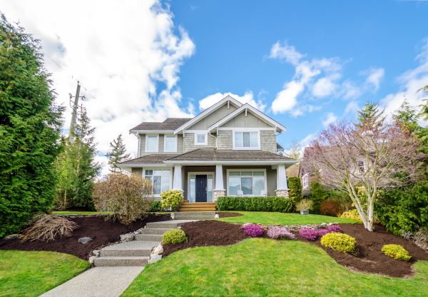Landscaping Replacement in Yonkers