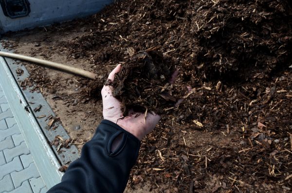 Condo Mulching in Yonkers