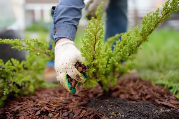 Church Mulching in Yonkers